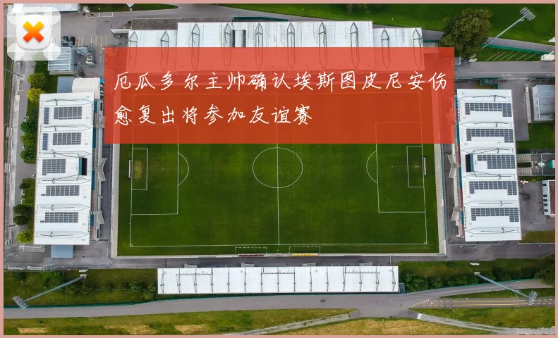 厄瓜多尔主帅确认埃斯图皮尼安伤愈复出将参加友谊赛