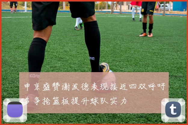 申京盛赞谢泼德表现接近四双呼吁多争抢篮板提升球队实力