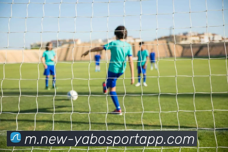 亚博足球平台生态图