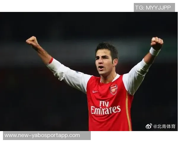 法布雷加斯回忆切尔西岁月称其为职业生涯最佳选择之一